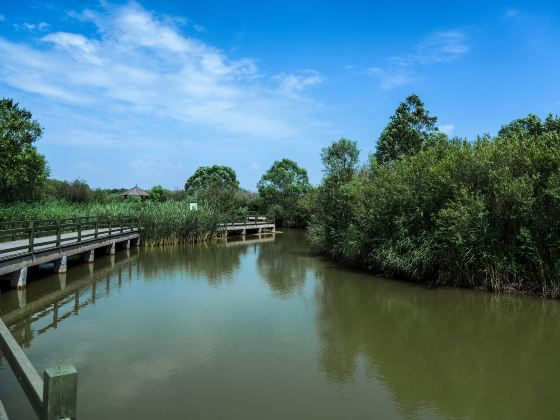 黃河公園