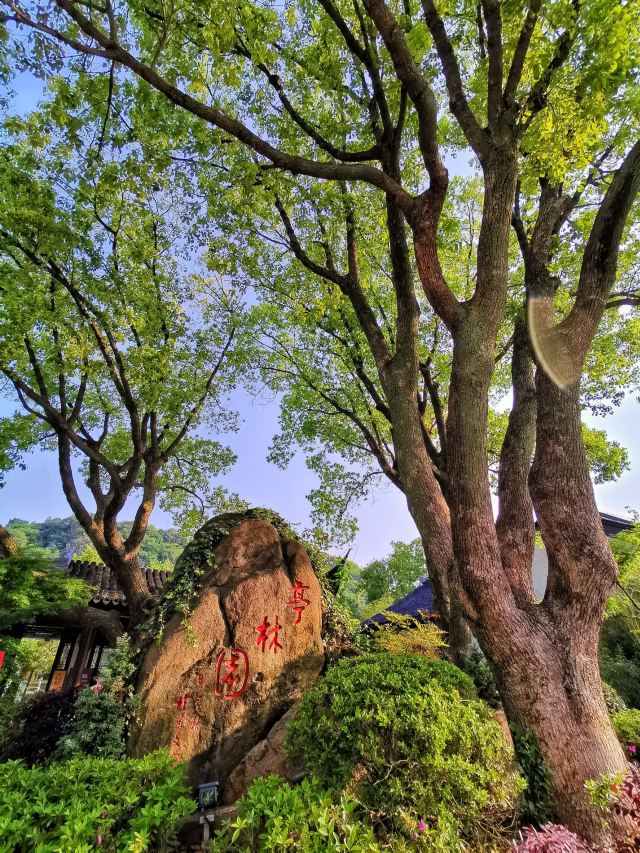 Tinglin Park