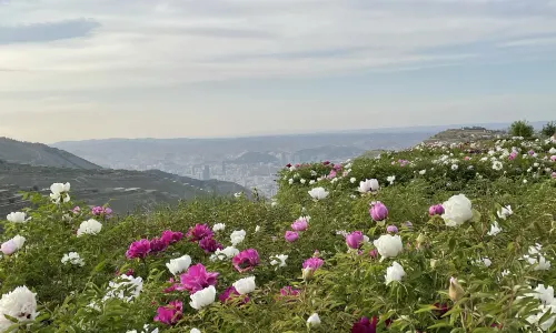 สวนลานซาน