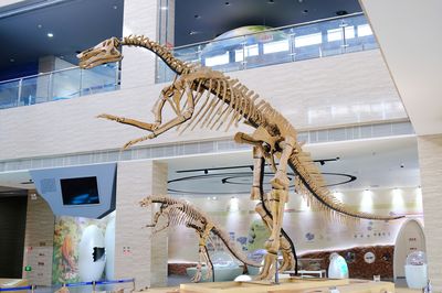 Laiyang Cretaceous National Geopark