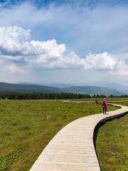 Malun Grassland