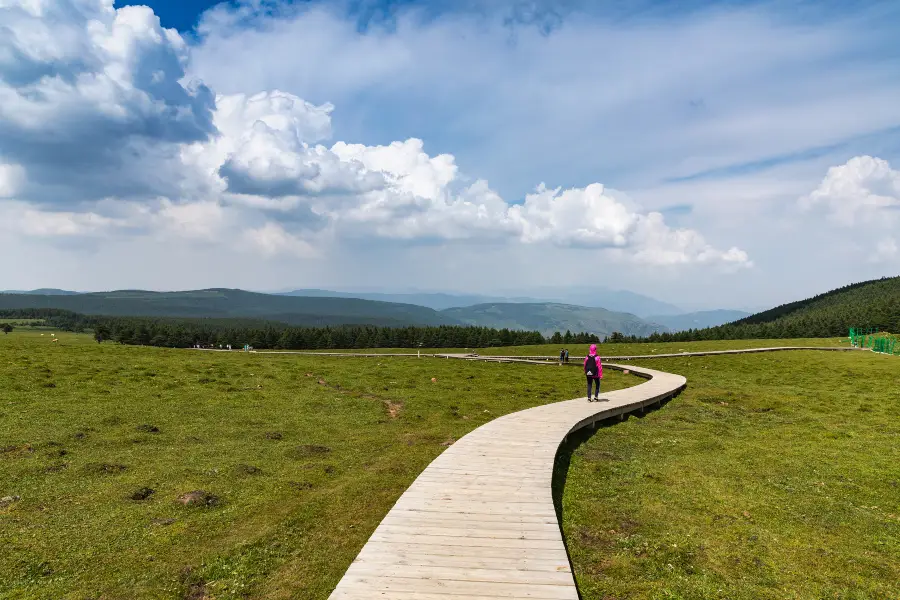 Malun Grassland