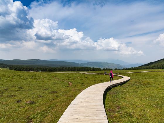 Malun Grassland