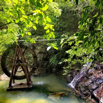 鄰近武夷山風景區的酒店