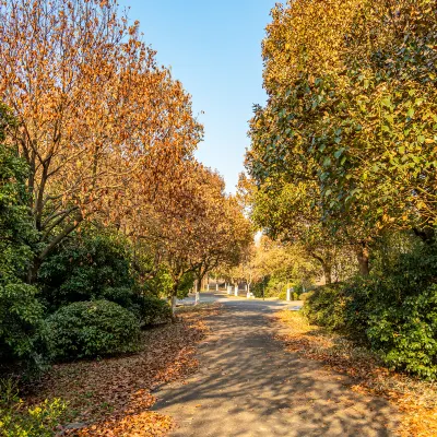 Отзывы об отеле Country Inn & Suites by Radisson Hotel (Nanjing Jiulonghu Subway Station Enterprise Headquarters Park)