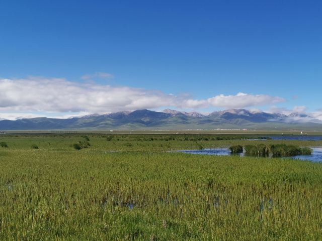 若爾蓋花湖生態旅遊區