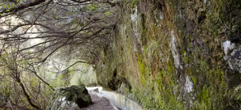 Hoteles de 5 estrellas en Madeira, Portugal