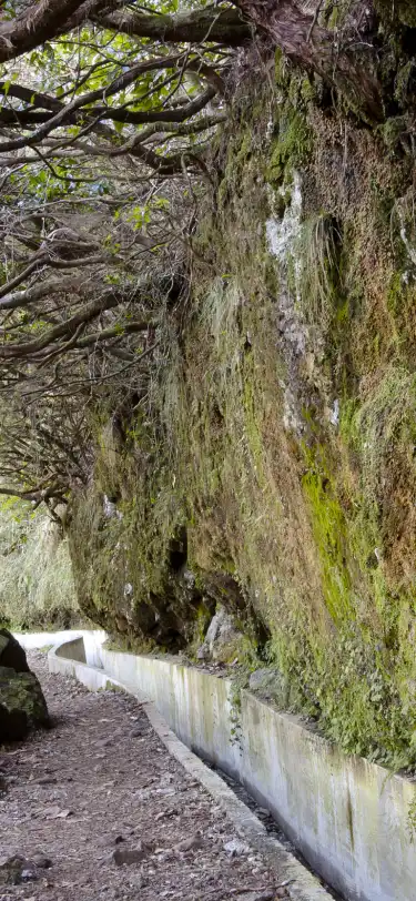 Hotels mit Pools in Madeira, Portugal