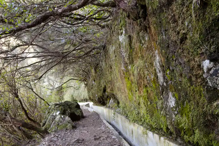 2-Star Hotels in Madeira, Portugal