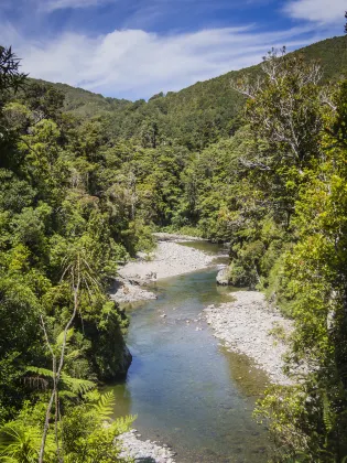 Karori Central - International Student Homestay