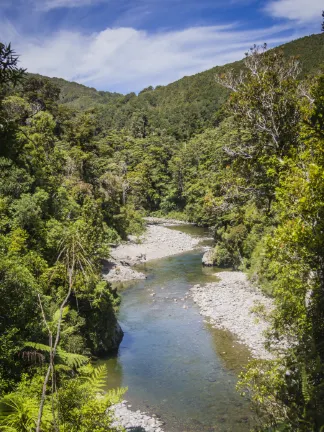 Air New Zealand Flights to New Plymouth