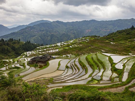 Yueliang Mountain