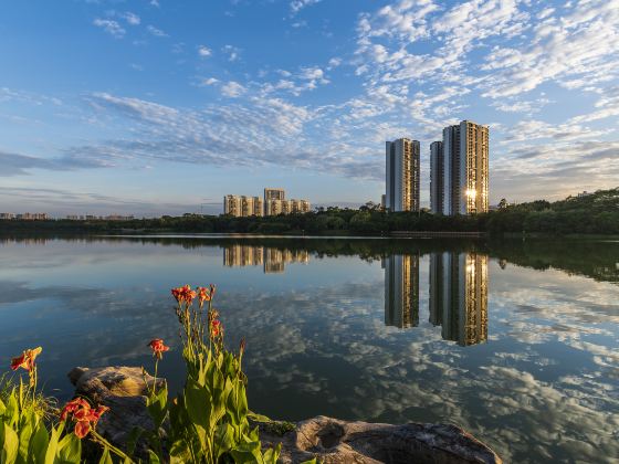 Xiangsi Lake