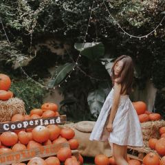 Cooperland User Photo