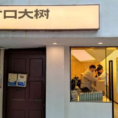 Cunkou Big Tree User Photo