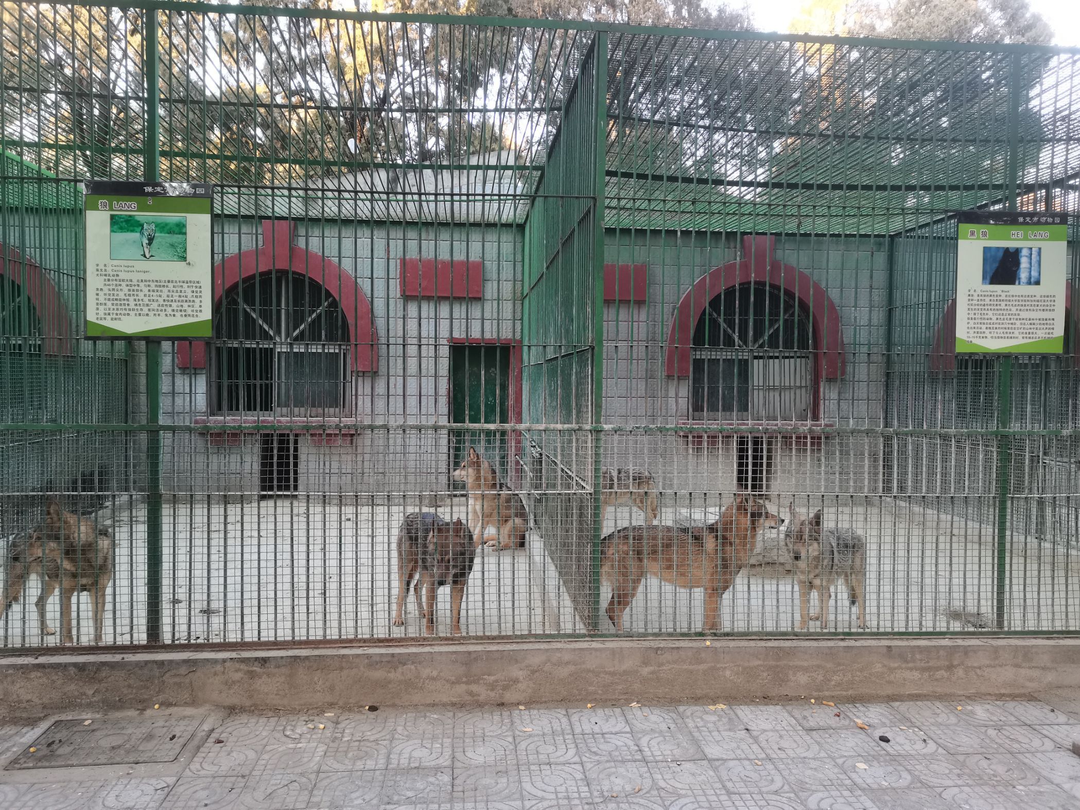 保定市動物園景點評價 保定市動物園門票 保定市動物園優惠 保定市動物園交通 地址 開放時間 保定市動物園附近景點 酒店及美食 Trip Com