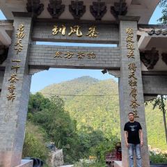 刮风寨纯正古树茶 User Photo