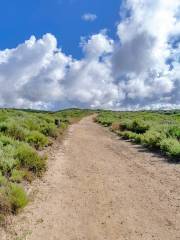 Crystal Cove State Park