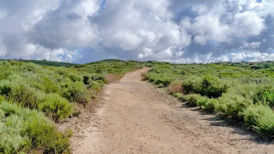 Crystal Cove State Park