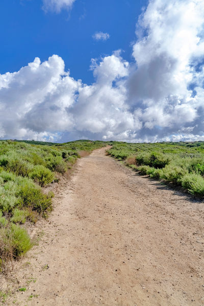 Crystal Cove State Park