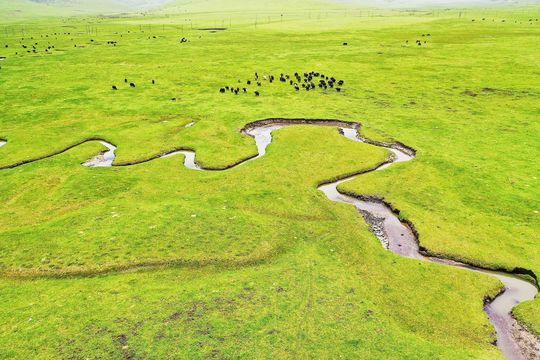 Langdu Wetland Park