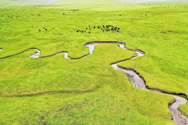 Langdu Wetland Park
