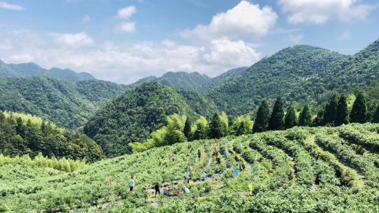 田園時代生態基地