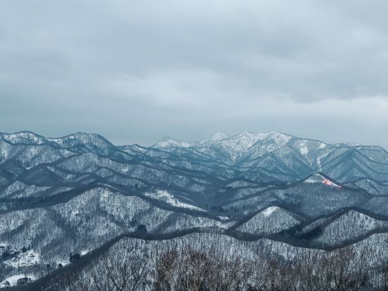 藻巖山