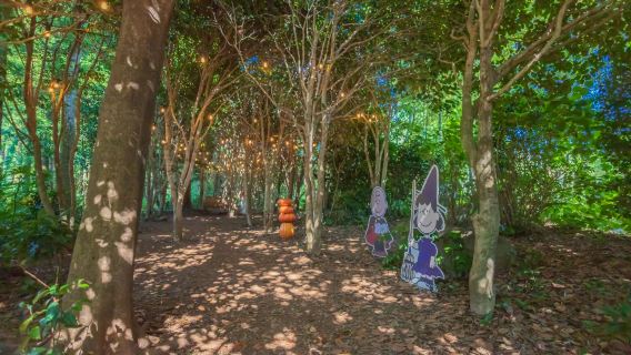 史努比樂園+城山日出峰+月汀裡海邊+城邑民俗村一日遊【包車】