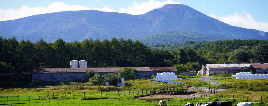 Ngato Farm