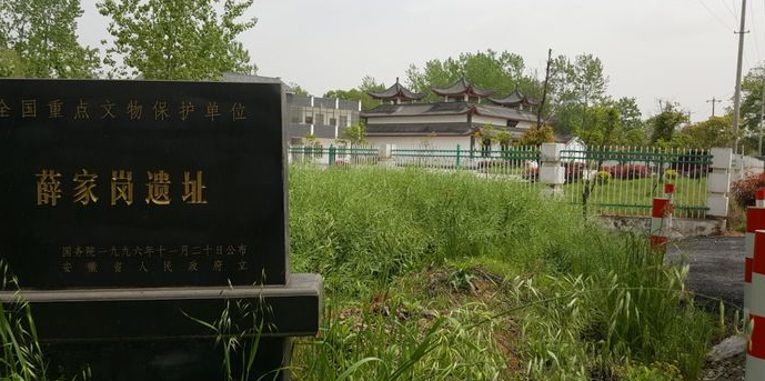 Xuejiagang Cultural Sites