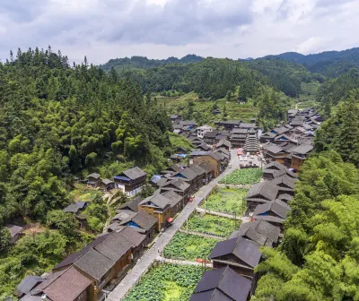 라윤 폰타 델가다 비행기