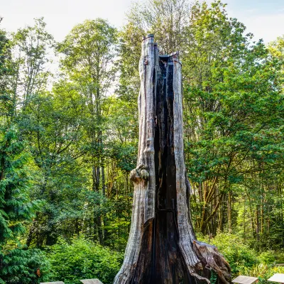 Glendenning Hall at Holland College