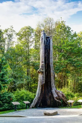 Разрешено размещения с домашними животными Отели в г. Ванкувер