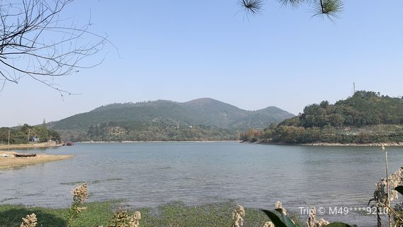 Từ Hi