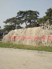 Baoding Agriculture Ecological Garden