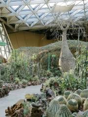 熱帶植物風情館