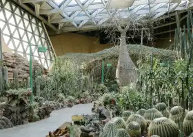 熱帶植物風情館