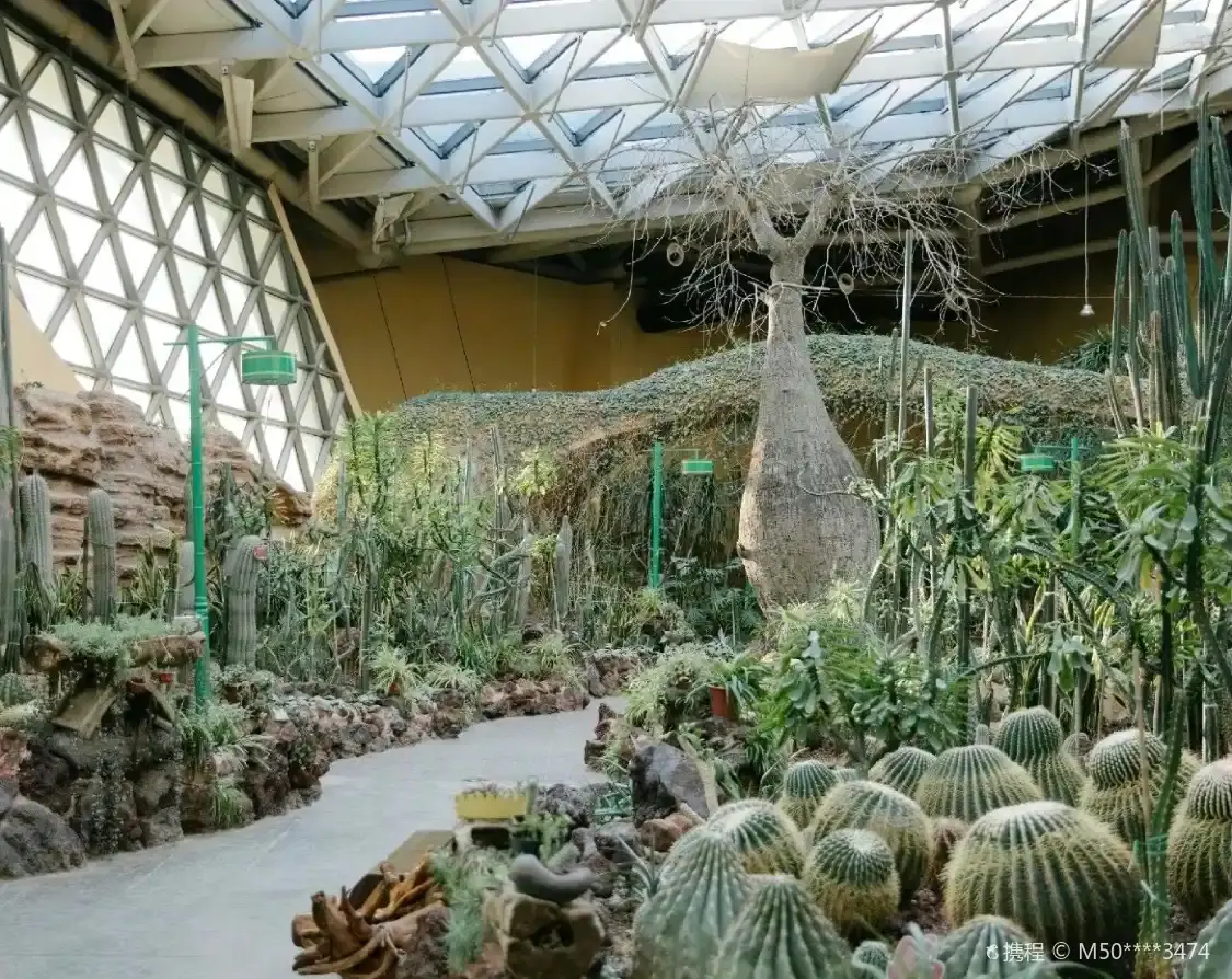 Hotels near Botanical Pavilion