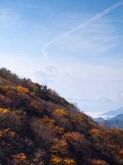 平河梁森林公園