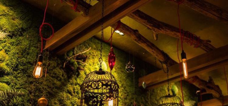 Zen Panasia Cuisine
