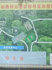 九洞山省級森林公園