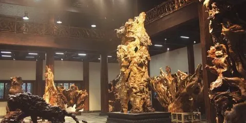 福建省志華根藝博物館