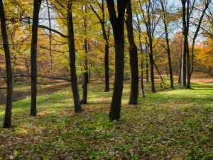 Allis State Park