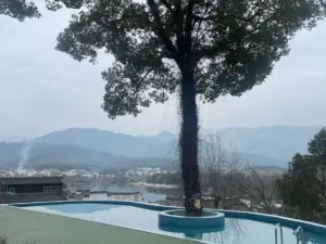 Shilily Qingmeixueshe