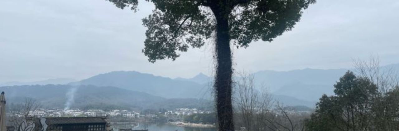 Shilily Qingmeixueshe