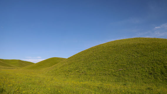 zhao su xian ye lang gu