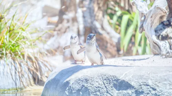 The National Aquarium of New Zealand