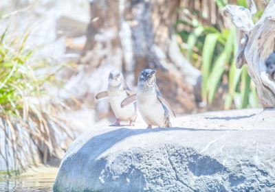 National Aquarium of New Zealand