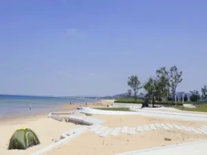 용호 리벙도